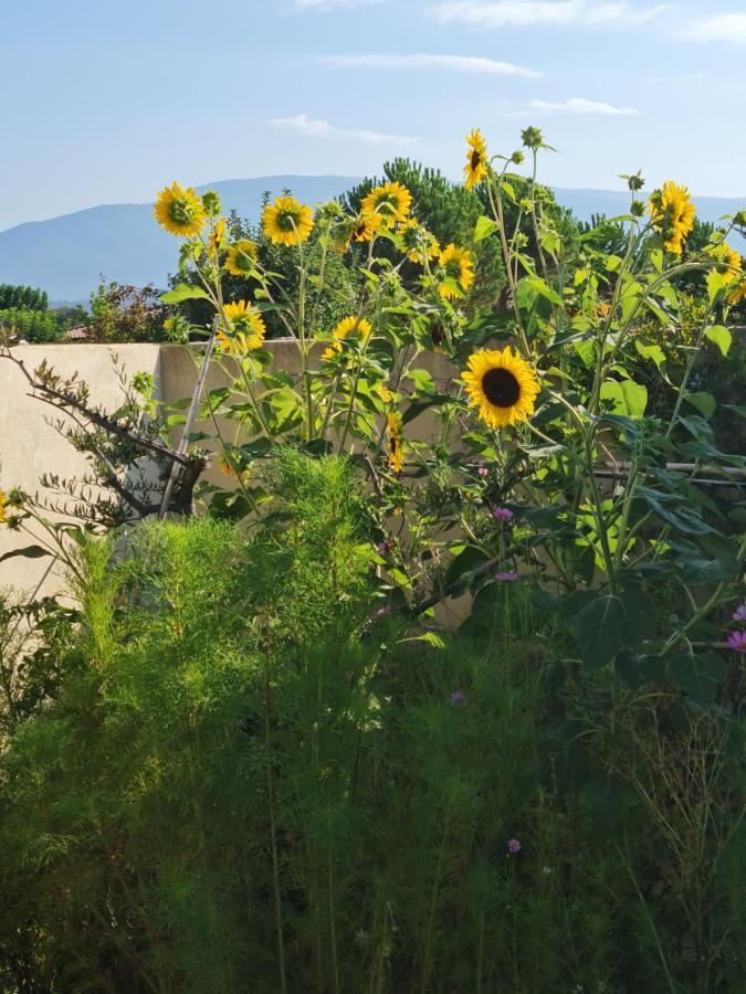 Petit Gite De Provence Мазан Екстер'єр фото