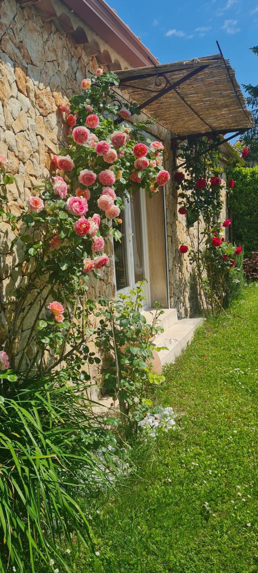 Petit Gite De Provence Мазан Екстер'єр фото